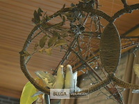 Partij div deco - afbeelding 6 van  10