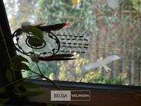 Partij div deco - afbeelding 8 van  10