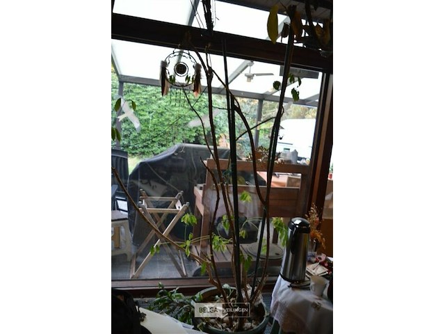 Partij div deco - afbeelding 9 van  10