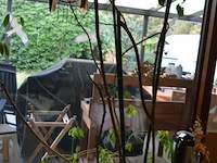 Partij div deco - afbeelding 9 van  10