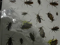 Partij div halloween doeken en deco - afbeelding 4 van  6