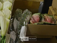 Partij div plastic bloemen - afbeelding 3 van  5