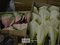 Partij div plastic bloemen - afbeelding 4 van  5