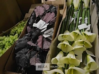 Partij div plastic bloemen - afbeelding 5 van  5