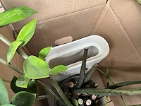 Partij diverse decoratie en planten - afbeelding 13 van  18