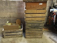 Partij diverse fruitkisten - afbeelding 1 van  1