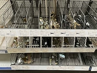 Partij diverse sloten, scharnier en deurbeslag - afbeelding 3 van  26
