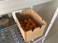 Partij diverse - afbeelding 15 van  22