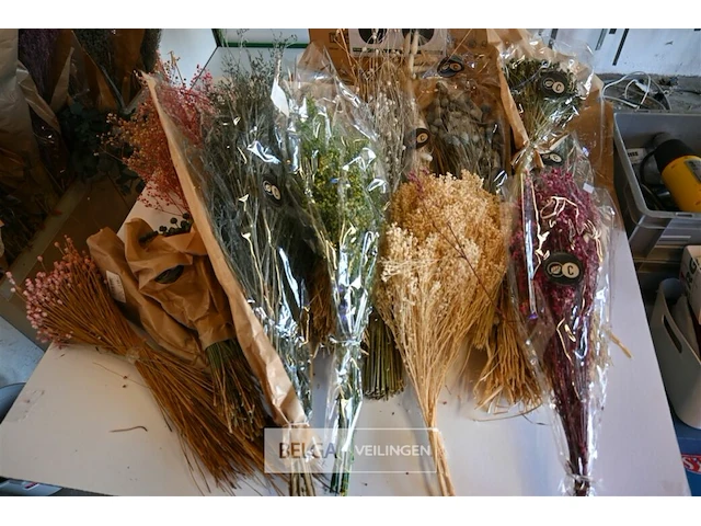 Partij droogbloemen - afbeelding 2 van  6