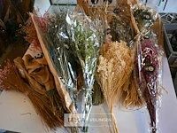 Partij droogbloemen - afbeelding 2 van  6