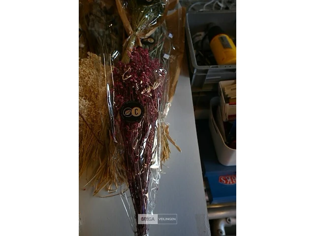 Partij droogbloemen - afbeelding 3 van  6