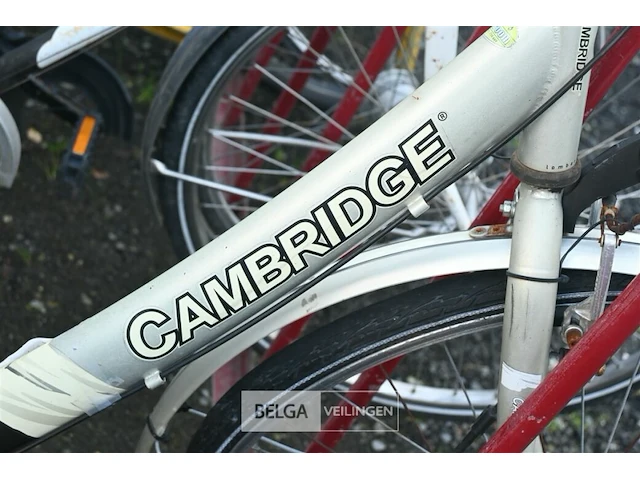 Partij fietsen - afbeelding 4 van  6