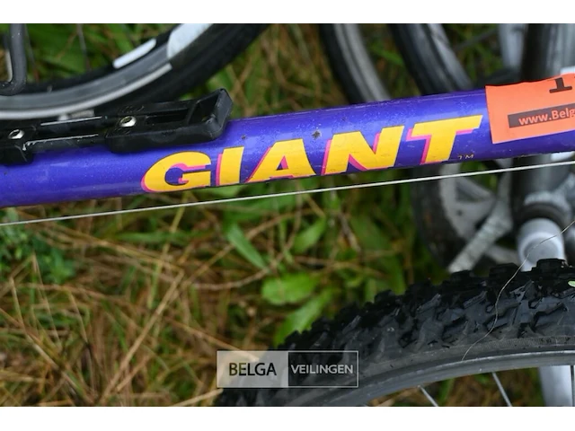 Partij fietsen - afbeelding 3 van  6