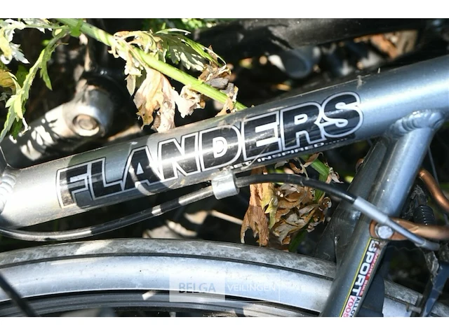 Partij fietsen - afbeelding 5 van  6