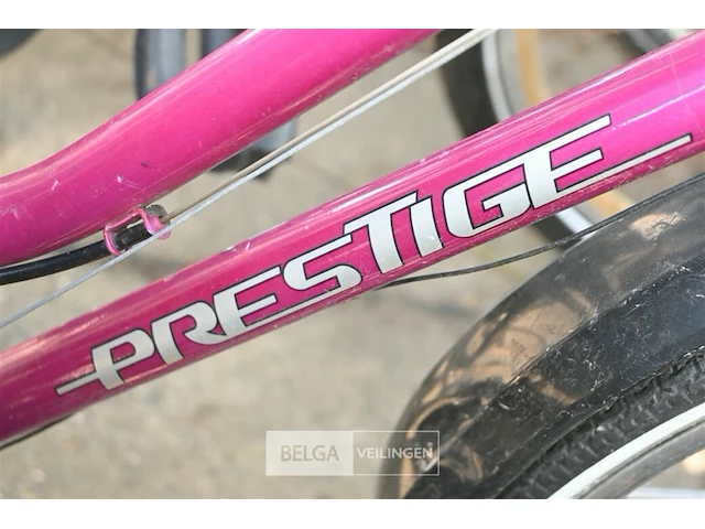 Partij fietsen - afbeelding 7 van  7