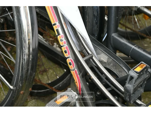 Partij fietsen - afbeelding 3 van  5
