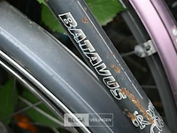 Partij fietsen - afbeelding 6 van  6