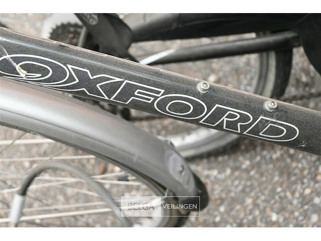 Partij fietsen - afbeelding 5 van  5