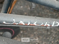 Partij fietsen - afbeelding 4 van  6