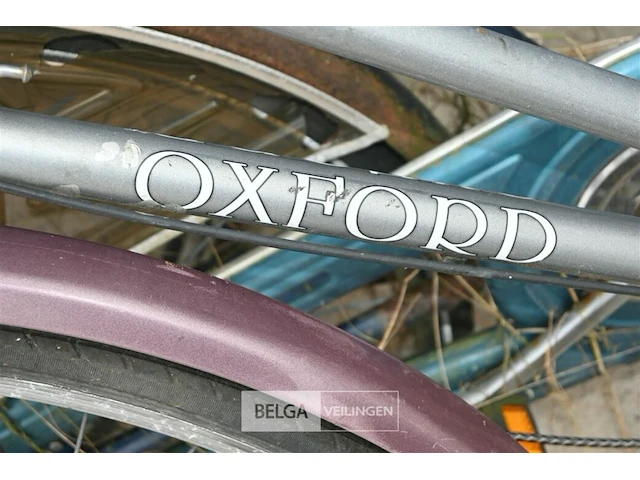 Partij fietsen - afbeelding 3 van  6
