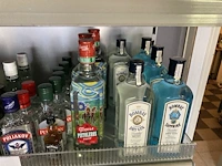 Partij geestrijke dranken - afbeelding 5 van  7
