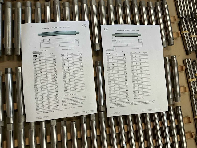 Partij geslepen slijp-en draaidoornen - afbeelding 7 van  10