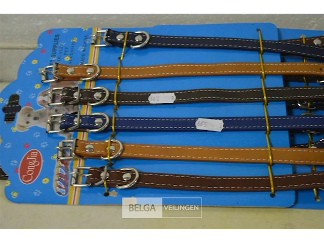 Partij halsband hond - afbeelding 2 van  3