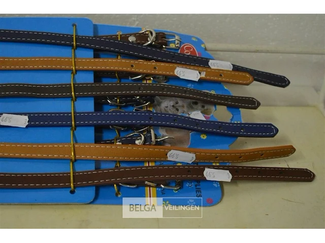 Partij halsband hond - afbeelding 3 van  3