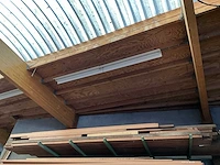 Partij hout redwood - afbeelding 3 van  7