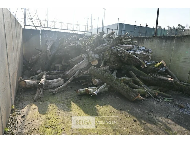 Partij hout - afbeelding 1 van  7