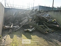 Partij hout - afbeelding 1 van  7