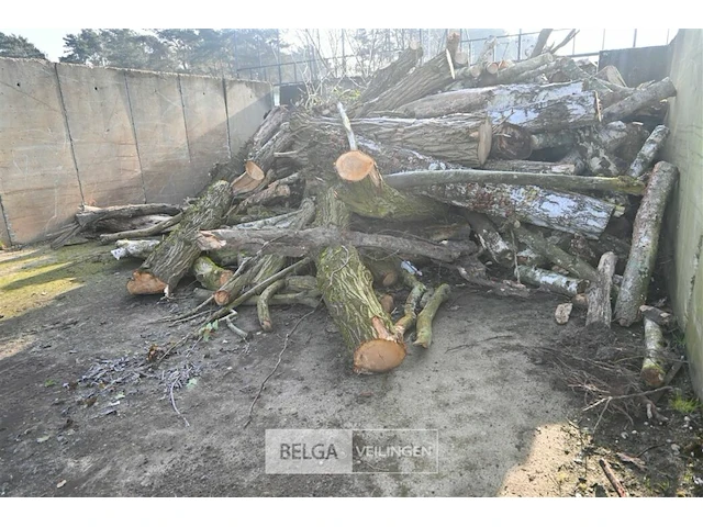 Partij hout - afbeelding 2 van  7