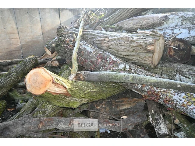 Partij hout - afbeelding 3 van  7