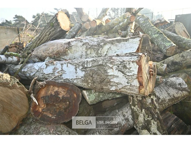 Partij hout - afbeelding 4 van  7