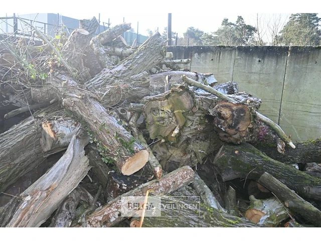 Partij hout - afbeelding 6 van  7