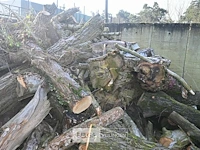Partij hout - afbeelding 6 van  7
