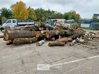 Partij hout - afbeelding 1 van  1