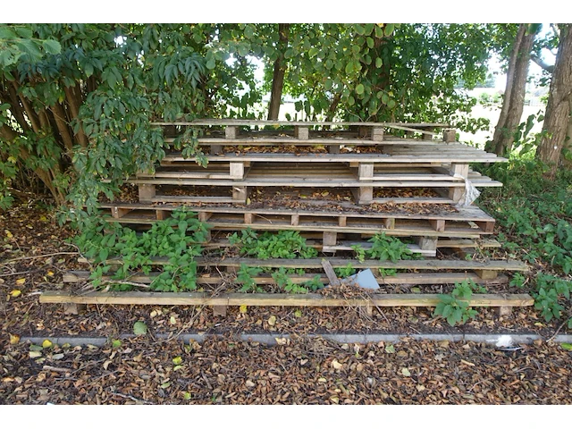 Partij hout - afbeelding 5 van  5