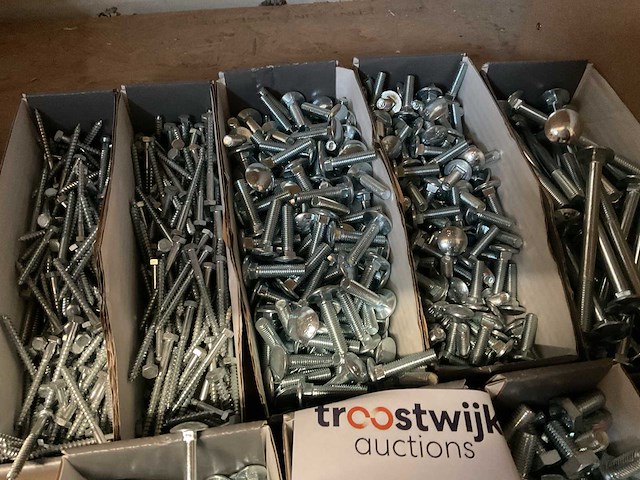 Partij houtbouten en houtschroeven - afbeelding 6 van  7