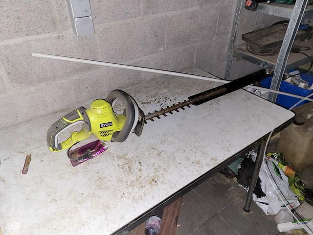 Partij klein gereedschap en tuinonderhoud - afbeelding 11 van  15