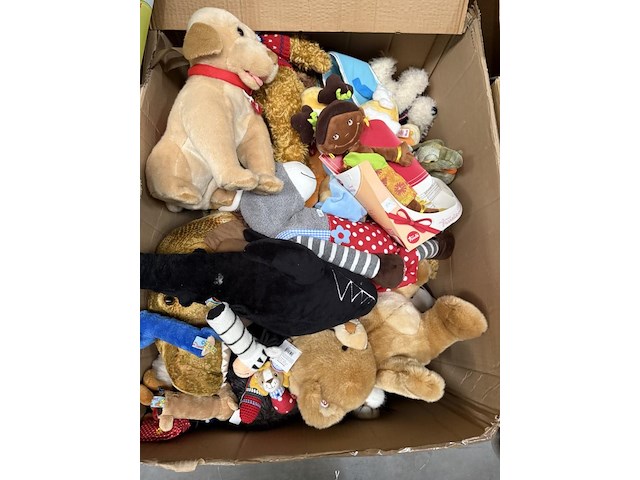 Partij knuffelberen - afbeelding 1 van  3