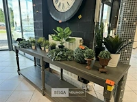Partij kunstplanten