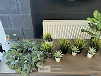 Partij kunstplanten - afbeelding 4 van  7