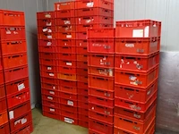 Partij kunststof bakken - afbeelding 5 van  6