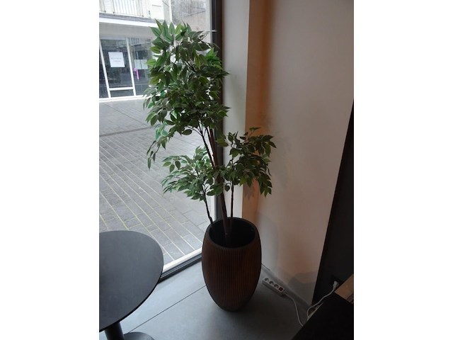 Partij kunststof planten + decoratie - afbeelding 1 van  12