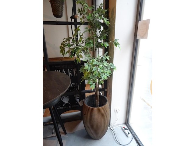 Partij kunststof planten + decoratie - afbeelding 6 van  12