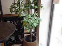 Partij kunststof planten + decoratie - afbeelding 6 van  12