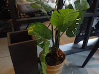 Partij kunststof planten + decoratie - afbeelding 7 van  12