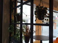 Partij kunststof planten + decoratie - afbeelding 9 van  12