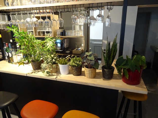 Partij kunststof planten + decoratie - afbeelding 11 van  12